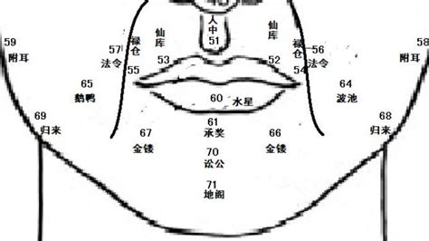 鼻子面相学|麦玲玲面相讲座之 鼻子 – 人相学